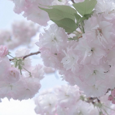 兽设黄昏场景设计福瑞交流群